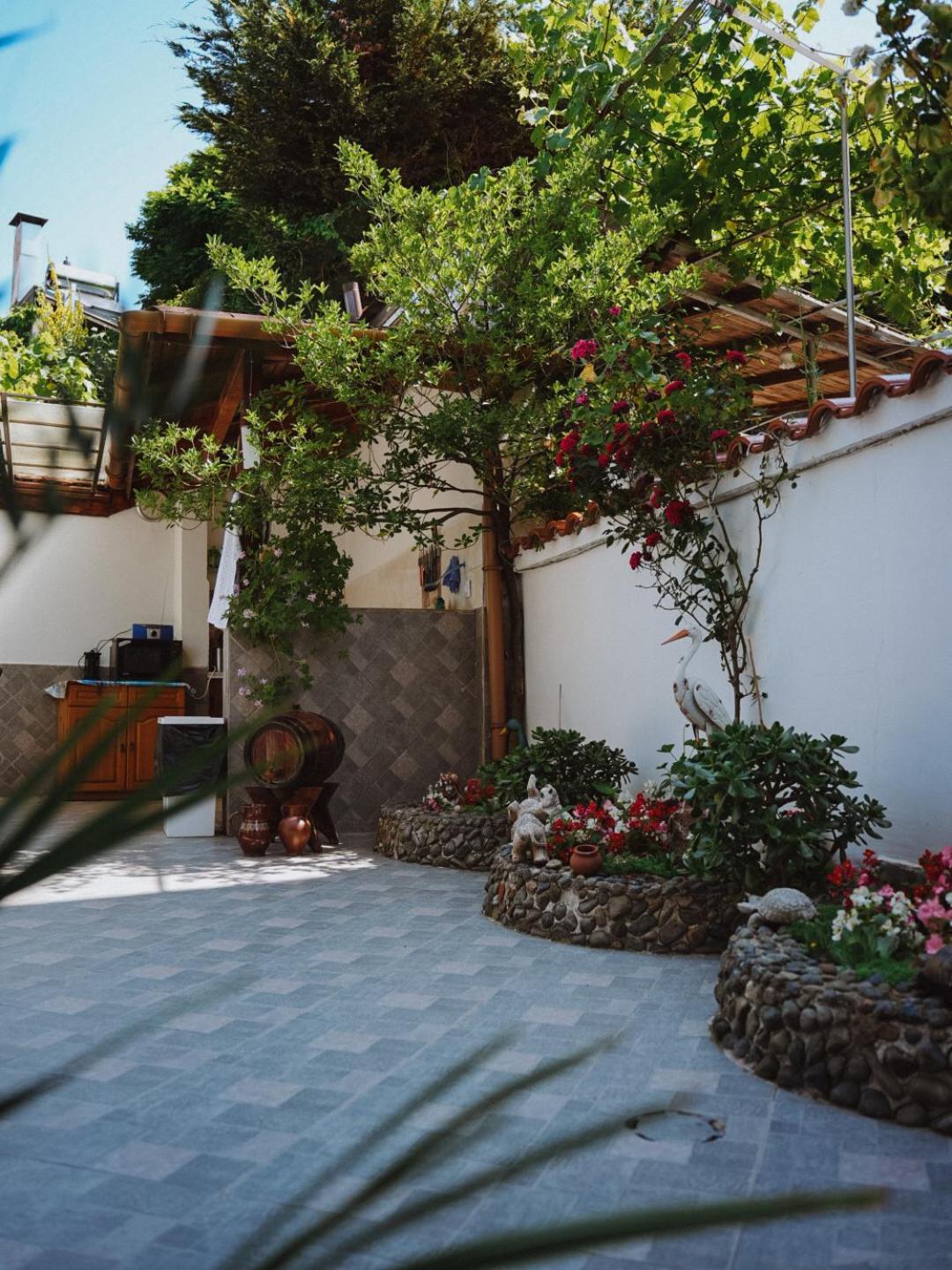 Sarievi Holiday Home Țarevo Exterior foto